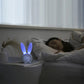 Cozy Glow Bunny